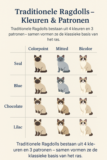 Afbeelding1